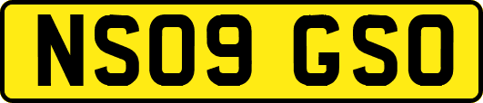 NS09GSO
