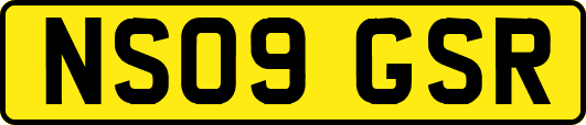NS09GSR