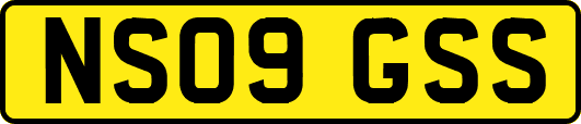NS09GSS