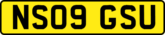 NS09GSU