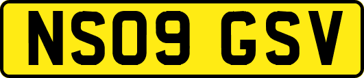 NS09GSV