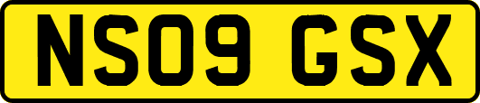 NS09GSX