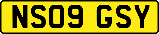 NS09GSY