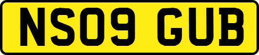 NS09GUB