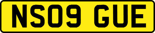 NS09GUE