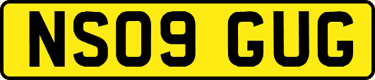 NS09GUG