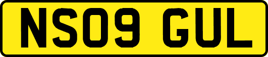 NS09GUL
