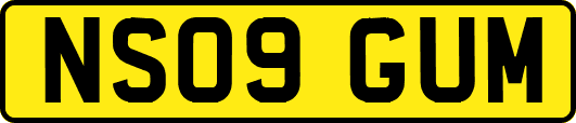 NS09GUM