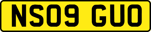 NS09GUO