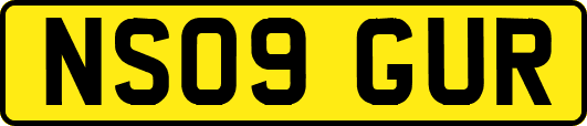 NS09GUR