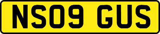 NS09GUS