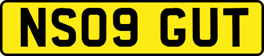 NS09GUT