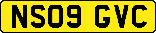 NS09GVC