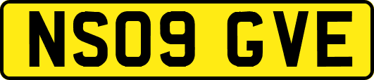 NS09GVE