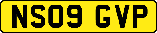 NS09GVP