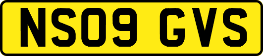 NS09GVS