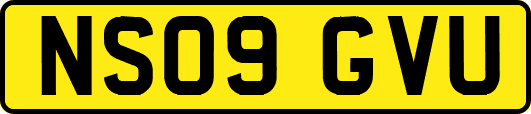 NS09GVU