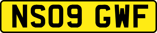 NS09GWF