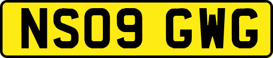 NS09GWG