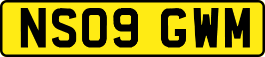 NS09GWM