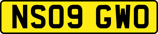 NS09GWO