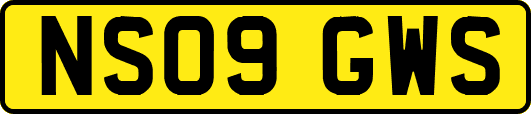 NS09GWS