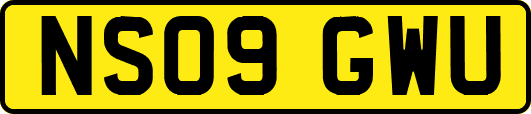 NS09GWU