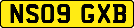 NS09GXB