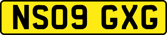 NS09GXG