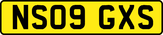NS09GXS
