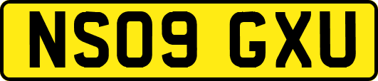 NS09GXU