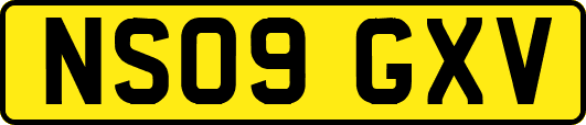 NS09GXV