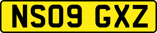 NS09GXZ