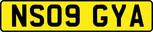 NS09GYA