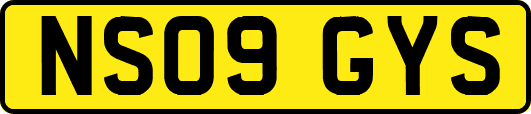 NS09GYS