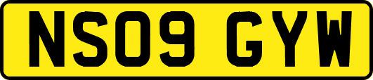 NS09GYW