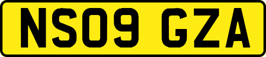 NS09GZA