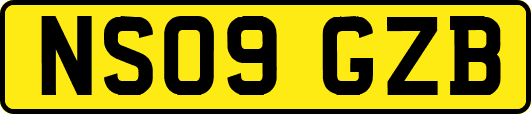 NS09GZB