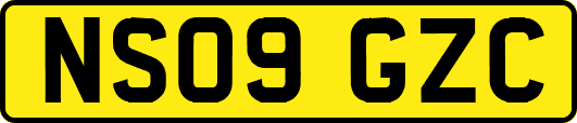 NS09GZC