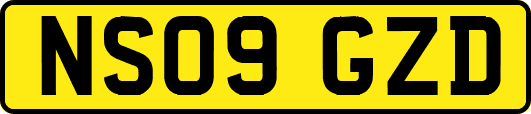 NS09GZD