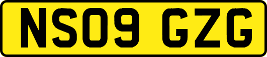 NS09GZG