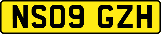 NS09GZH
