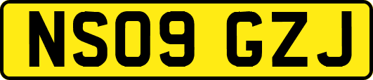 NS09GZJ