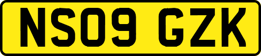 NS09GZK