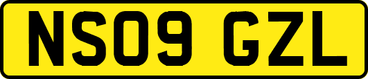 NS09GZL
