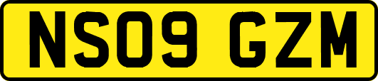 NS09GZM