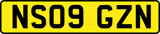 NS09GZN