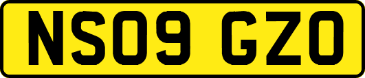NS09GZO