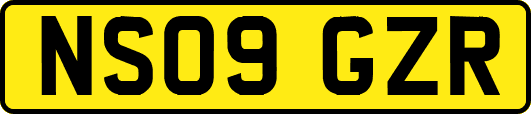 NS09GZR