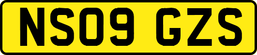 NS09GZS
